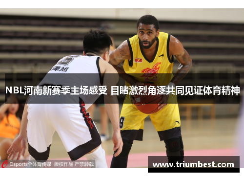 NBL河南新赛季主场感受 目睹激烈角逐共同见证体育精神